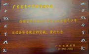 第七届中俄青少年运动会